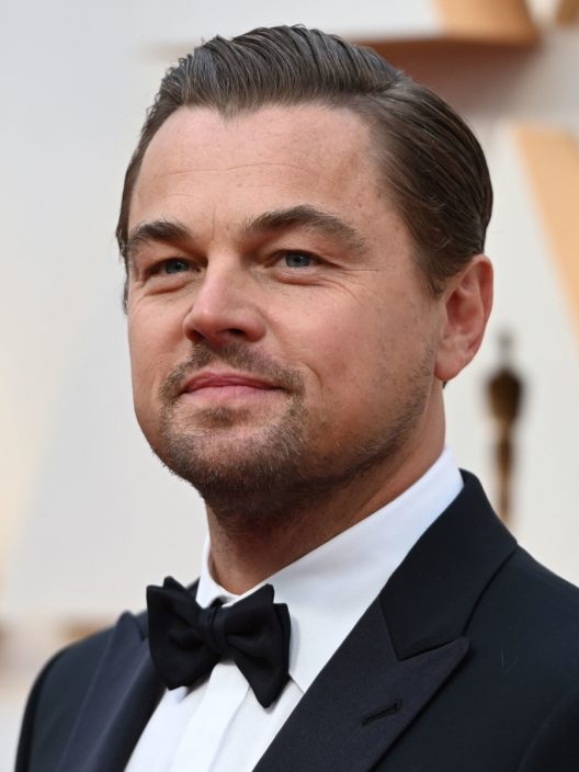 Leonardo di Caprio, il successo e l’impegno: stella del cinema, ambientalista e attivista