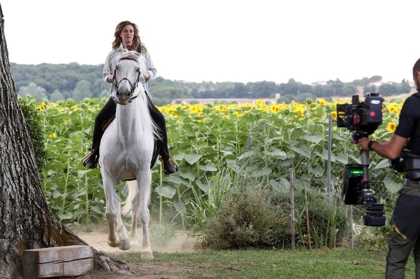 cavallo incontrada