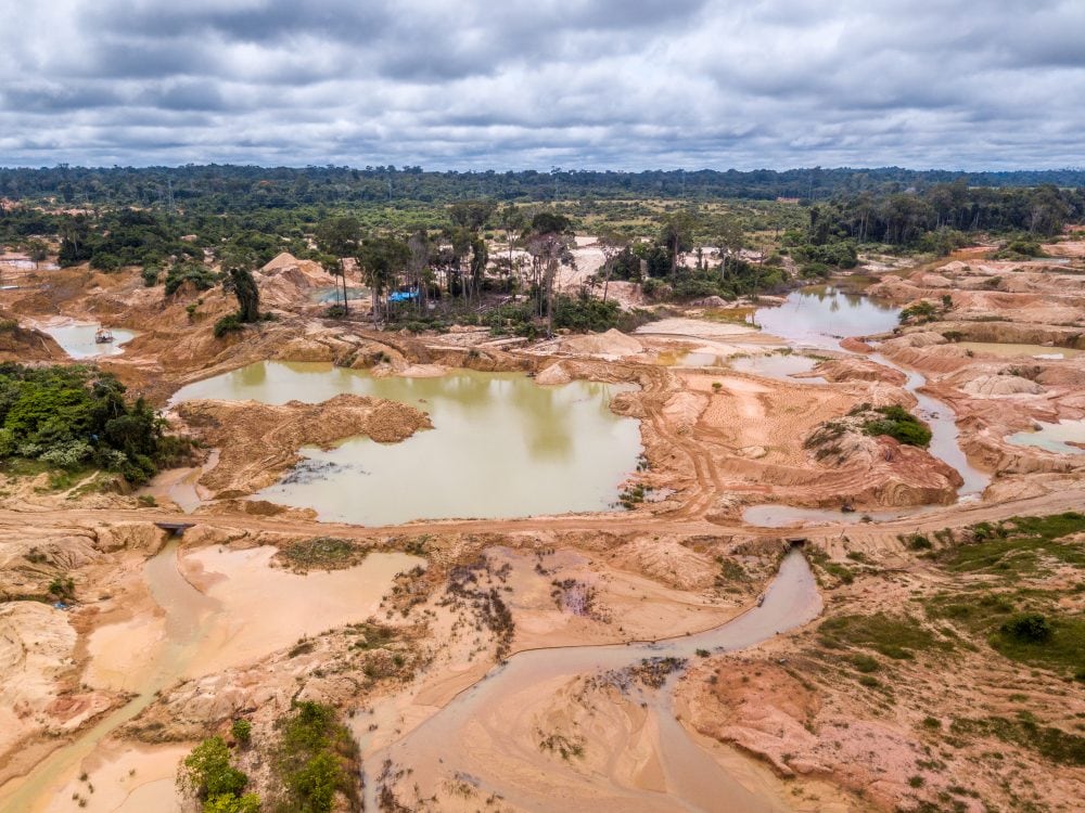 Deforestazione in Amazzonia