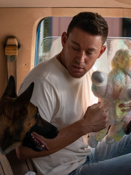 Io e Lulù, l’amicizia tra un militare e un cane nel film di Canale 5