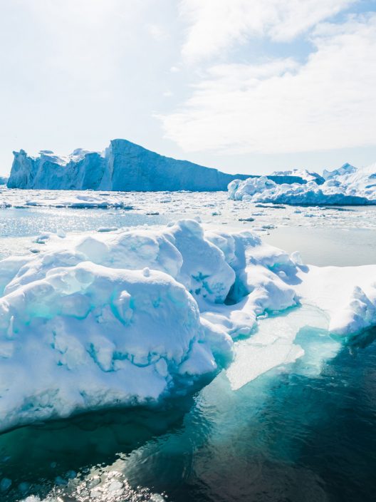 Emergenza climatica ed emergenza sanitaria: perché saranno sempre più connesse