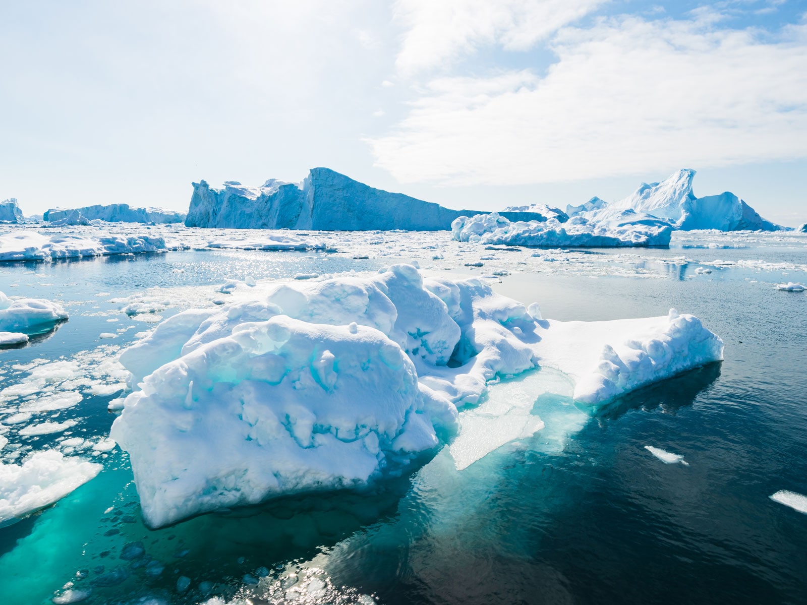 Emergenza climatica ed emergenza sanitaria: perché saranno sempre più connesse