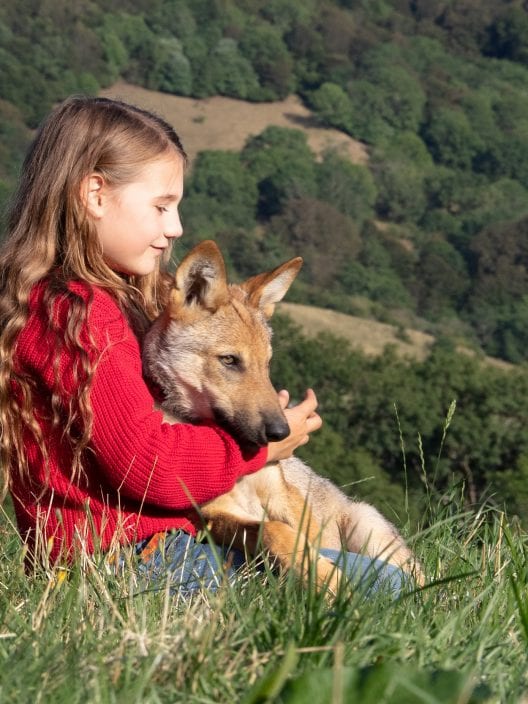 Vicky e il suo cucciolo: Superare la morte della madre grazie a un lupo