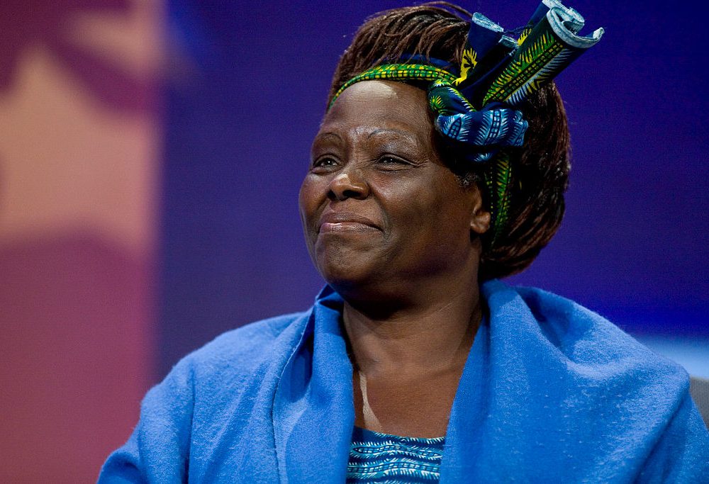 Wangari Maathai, Premio Nobel per la pace nel 2004