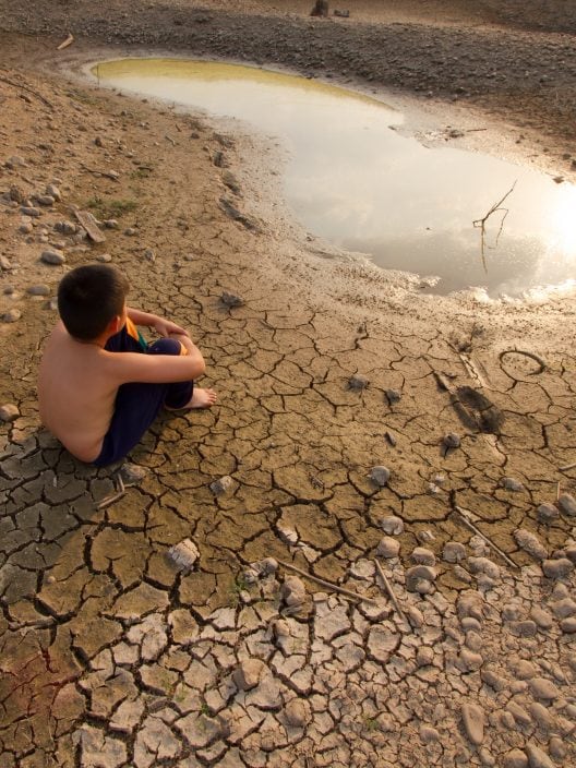 Cos’è il Climate Despair e perché è sempre più diffuso?