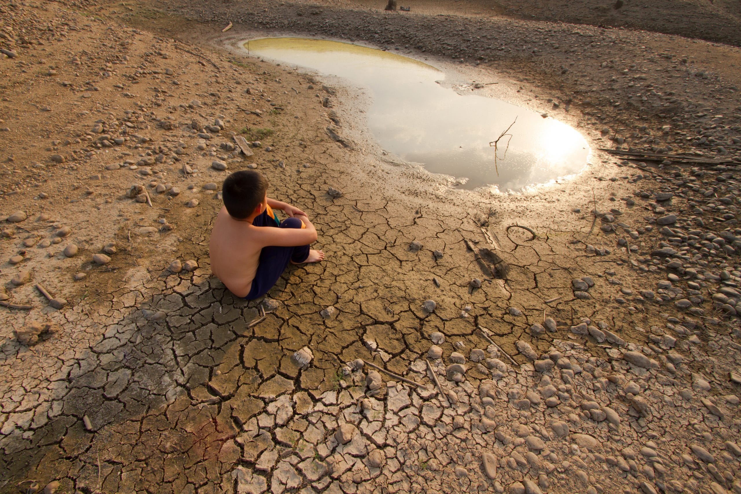 Cos’è il Climate Despair e perché è sempre più diffuso?