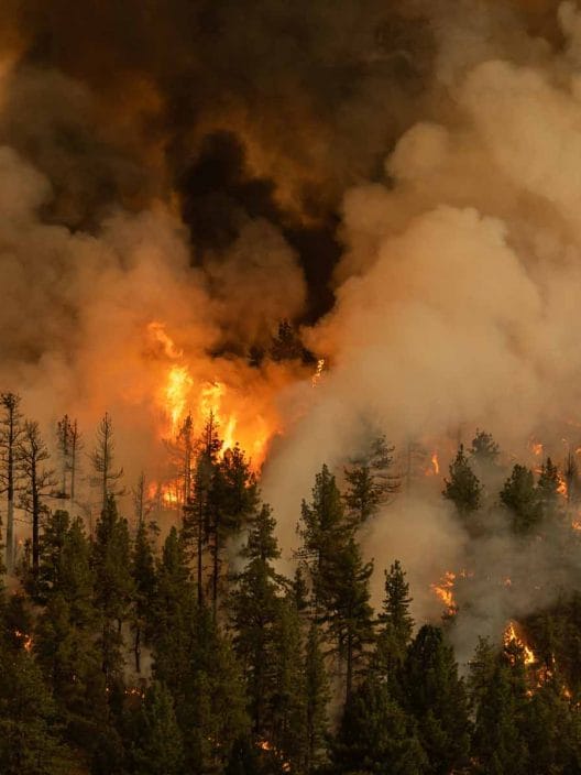 3 (falsi) miti sul climate change sfatati dagli esperti