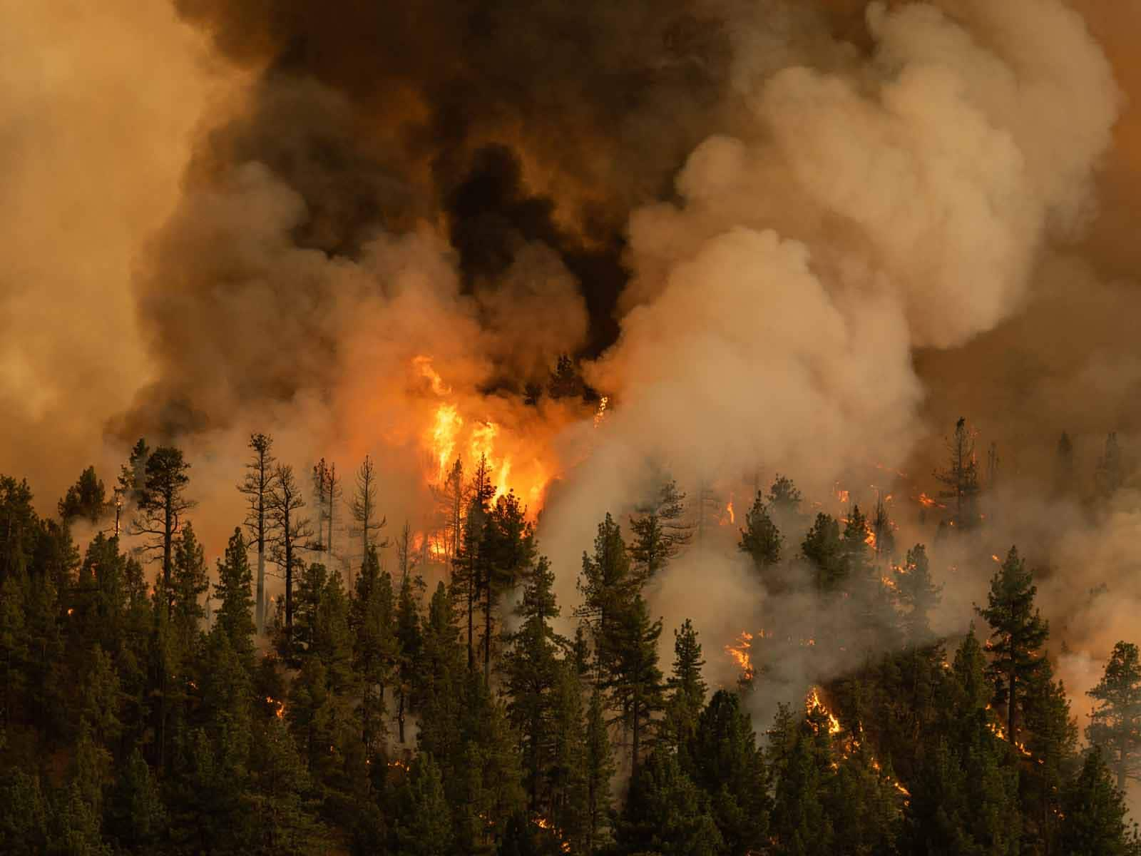 3 (falsi) miti sul climate change sfatati dagli esperti