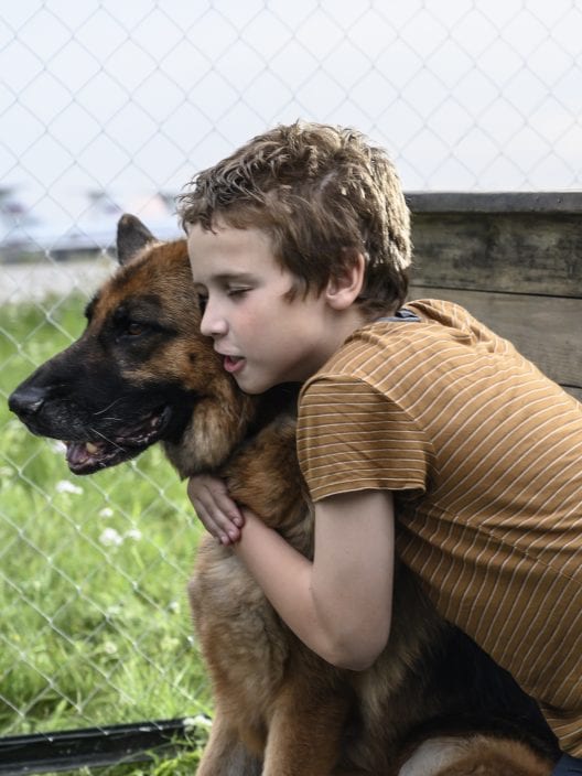 Palma, un amore di cane: Un film Sky racconta la vera storia di un cane che ha atteso il suo proprietario per due anni all’aeroporto