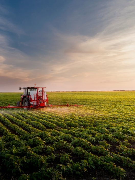 Ambiente e settore alimentare: quali sono i cibi che impattano di più?