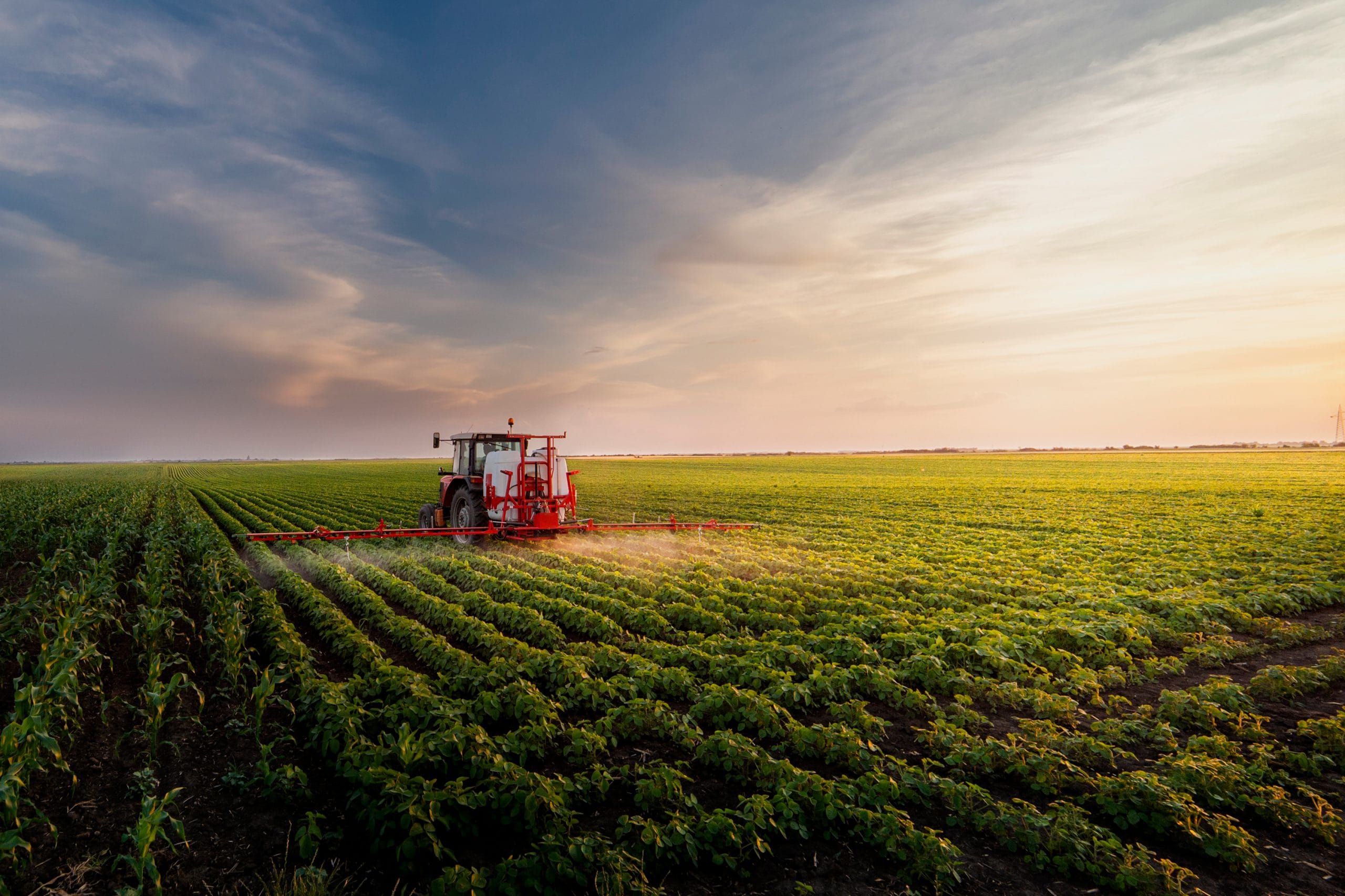 Ambiente e settore alimentare: quali sono i cibi che impattano di più?