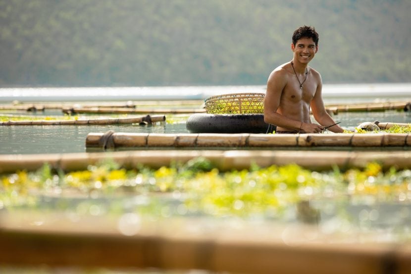 Maxime Boutier in Ticket to Paradise.