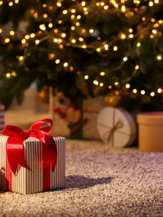 Regali di Natale: le idee utili adatte a tutti