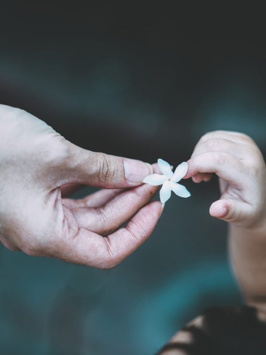 L’Alfabeto della Gentilezza: un progetto per diffondere dolcezza tra bambini e adulti