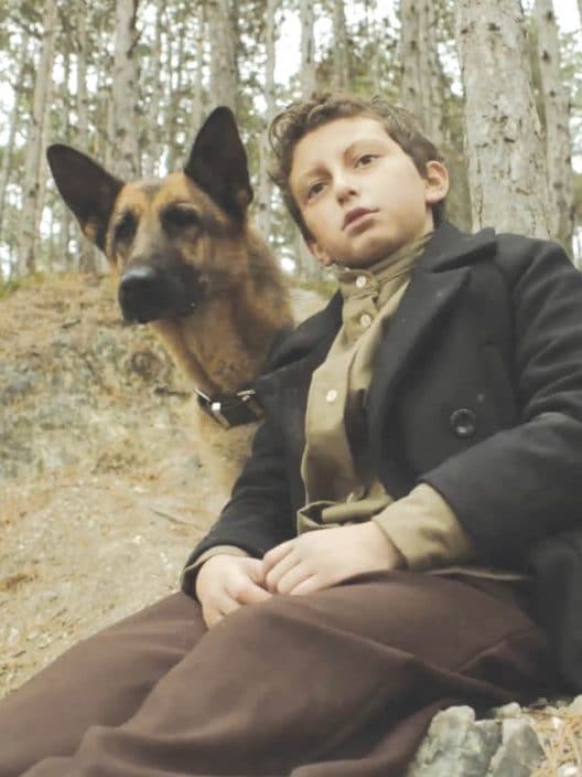 Zack: La storia del cane eroe nel film di Rai 1 per la Giornata della Memoria