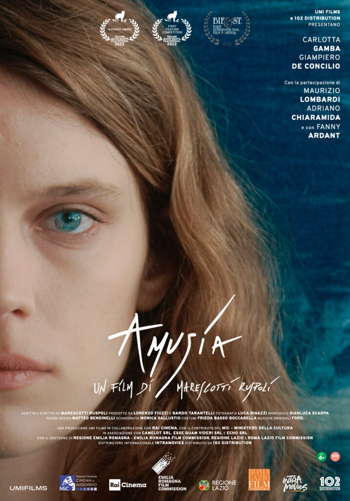 Il poster del film Amusia.