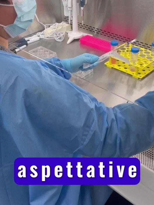 VITA IN LABORATORIO: ASPETTATIVE VS. REALTÀ