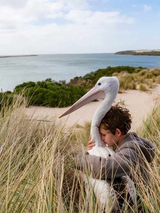 Storm Boy – Il ragazzo che sapeva volare: Su Canale 5 un film di amicizia, amore e natura da un best seller