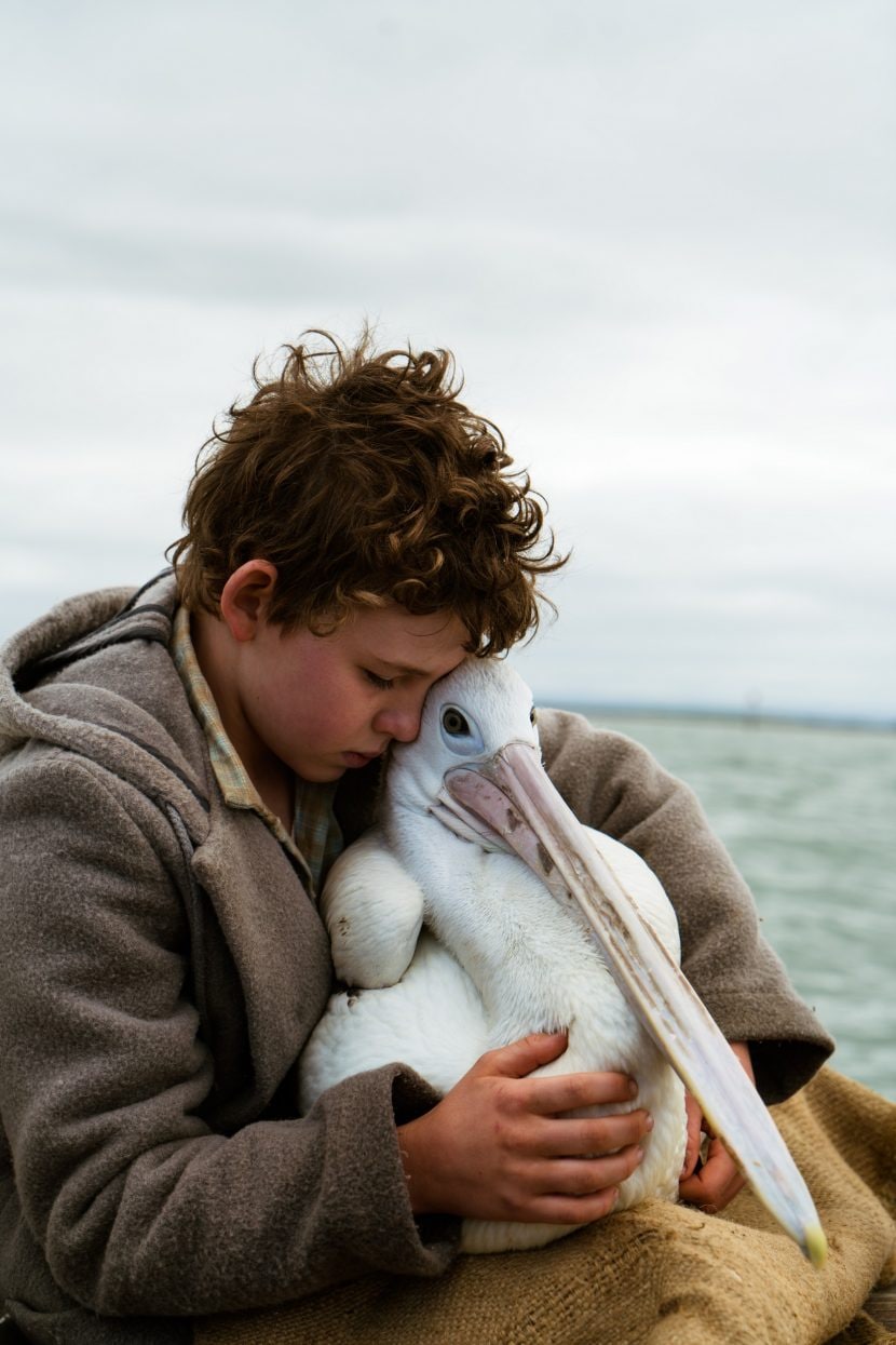 Finn Little in una scena del film Storm Boy - Il ragazzo che sapeva volare.