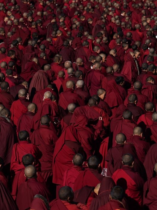 Il respiro della foresta: Una clip in esclusiva del film sul ritiro delle monache tibetane