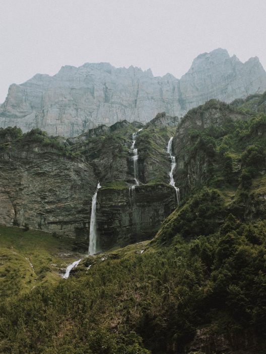 L’Unione Europea ha approvato una legge sul ripristino della natura danneggiata