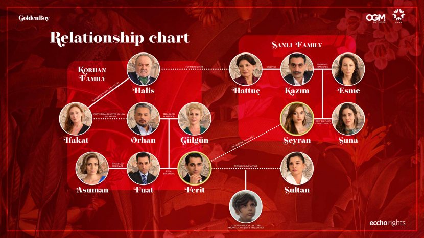 Il complesso schema delle relazione della serie tv turca Golden Boy.