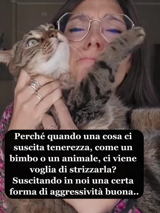 Perchè Quando Una Cosa è Tenera La Vogliamo Strizzare?