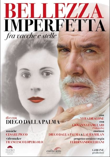 Il poster di Bellezza imperfetta.