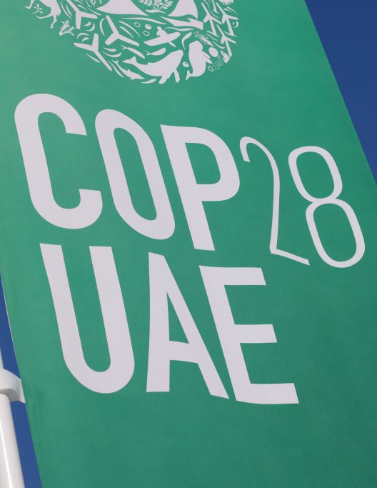 Cop28:  i primi sviluppi (e successi?) della conferenza delle Nazioni Unite sul clima