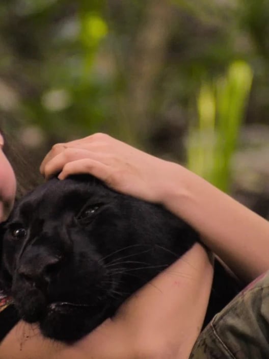 Emma e il giaguaro nero: Un film su un’amicizia straordinaria in difesa dell’ambiente e della natura