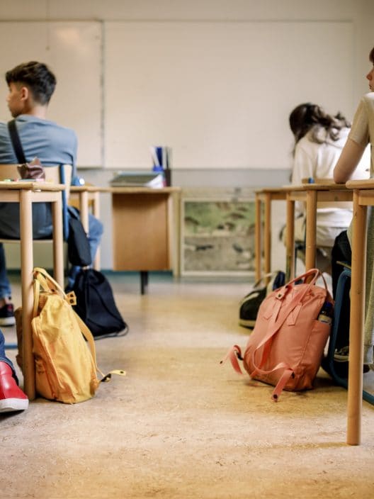 Didattica contro gli stereotipi: una guida multidisciplinare per educare alla parità di genere