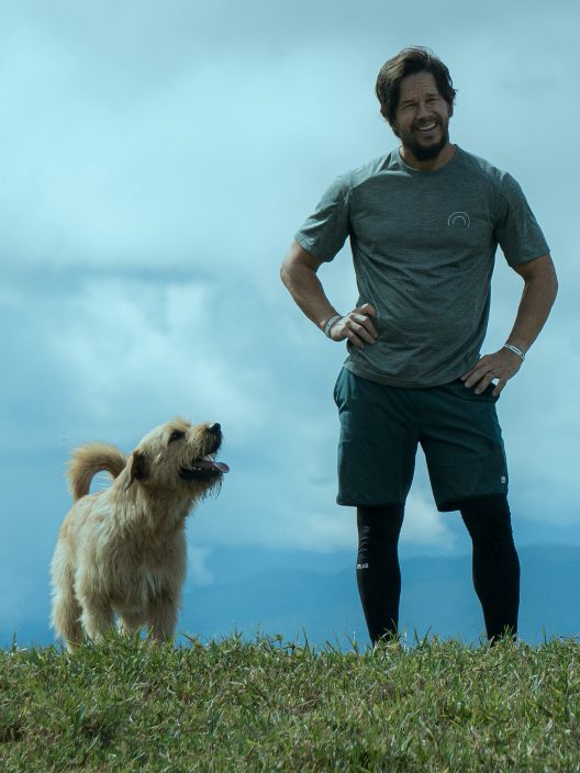 In un film, la vera, incredibile e commovente storia del cane Arthur e della sua determinazione