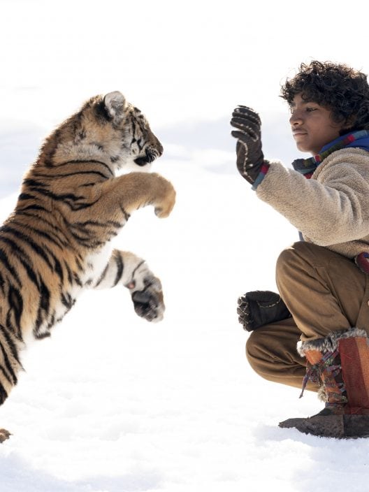 La bella amicizia tra un bambino e una tigre in un magnifico film Netflix