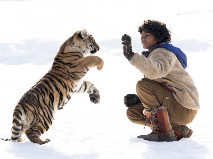 il ragazzo e la tigre film netflix