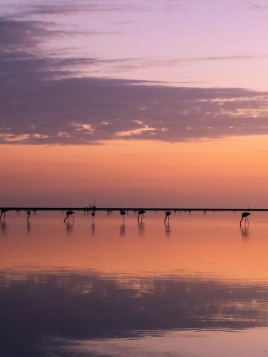 Nature Based Solutions contro la siccità: cosa sono e perché dobbiamo conoscerle