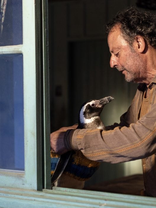 My Penguin Friend: La straordinaria e vera amicizia di un pinguino con un uomo in un film