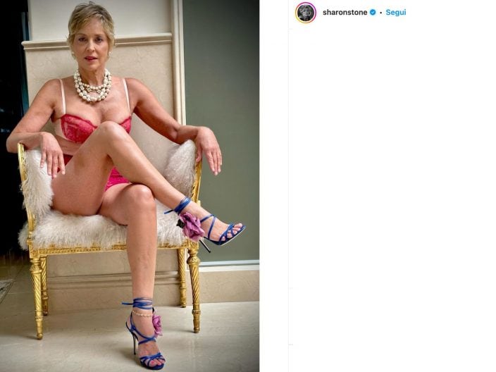 sharon-stone-pose-basic-instinct-critiche-social-bodyshaming