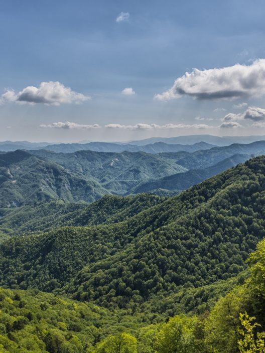 Nel Mugello, un comitato di cittadini difende le foreste dagli impianti eolici industriali