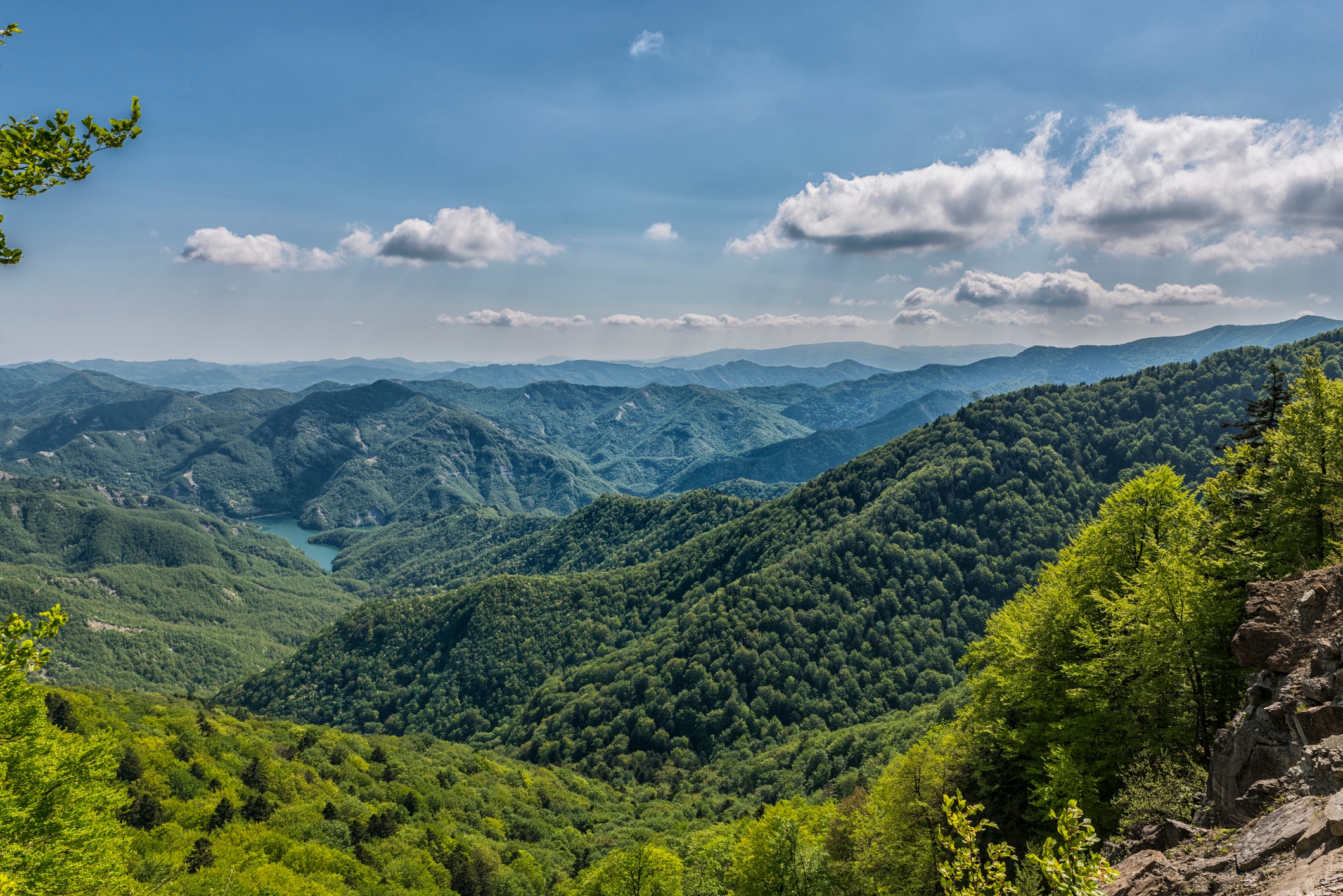 Nel Mugello, un comitato di cittadini difende le foreste dagli impianti eolici industriali