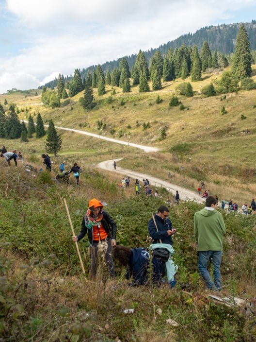 Una giornata per sentire che siamo un ecosistema: a Folgaria torna la “Foresta degli innovatori”