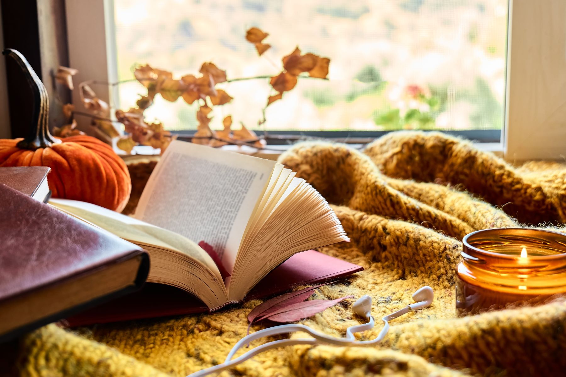 Libri da leggere questo autunno