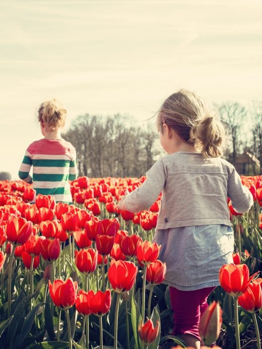 I segni zodiacali amanti della primavera