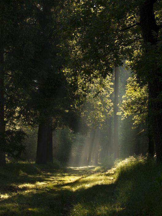 Crescono le Oasi del respiro, dove imparare a “sentire” la connessione con la natura