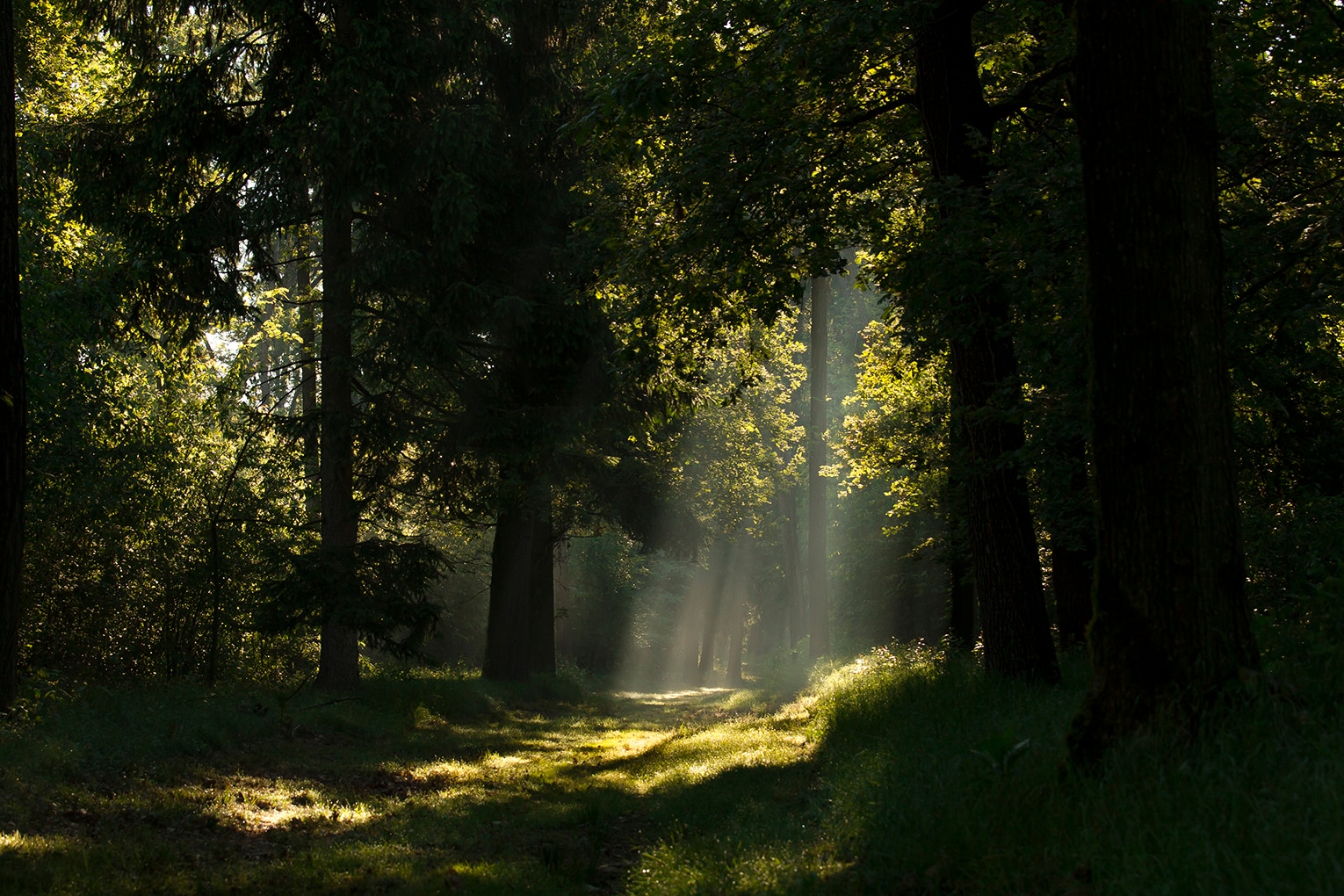 Crescono le Oasi del respiro, dove imparare a "sentire" la connessione con la natura