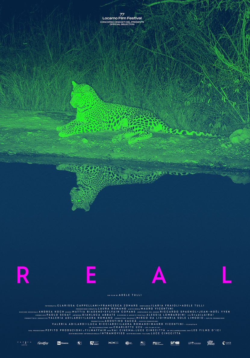 Il poster del film Real.