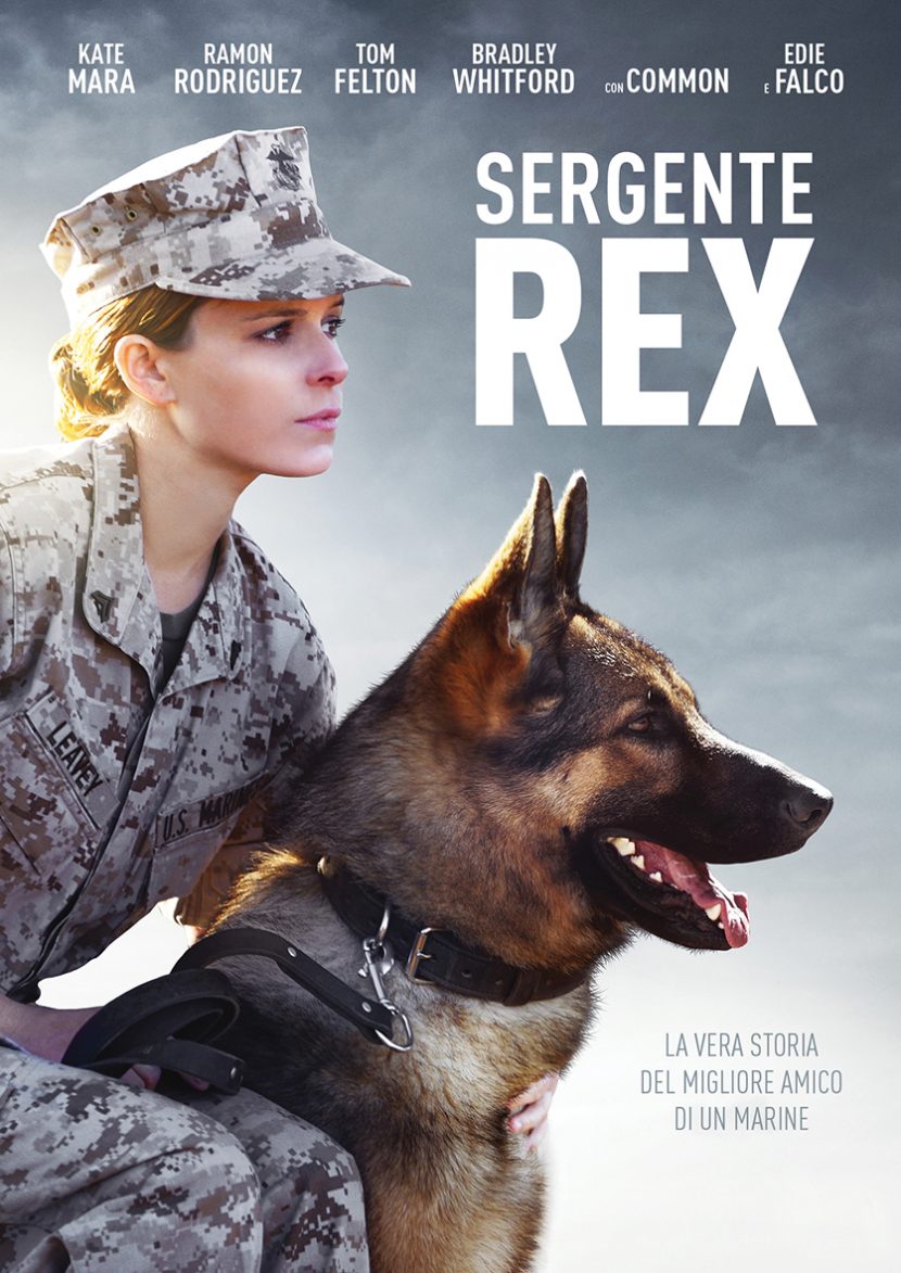 Il poster del film Iris Sergente Rex.